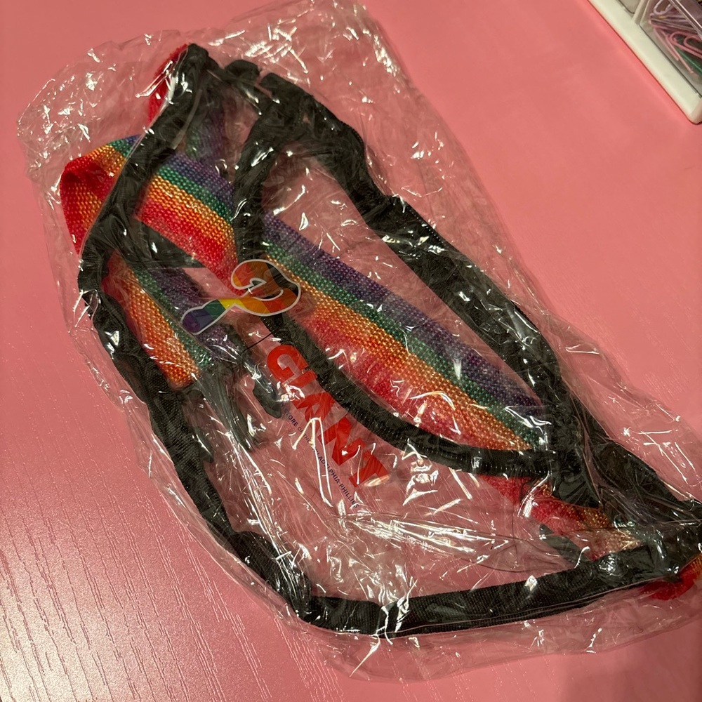 Rainbow Phillies Crossbody Bag